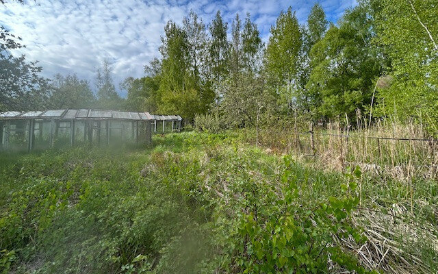 садоводческое объединение Садовод фото