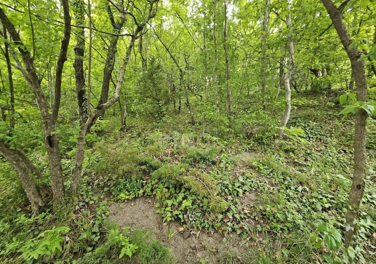 дом г Новороссийск садоводческое товарищество Северная Озерейка фото 35