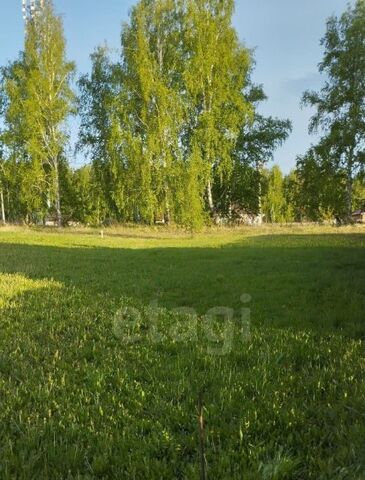 сельсовет, Золотая Осень дачный потребительский кооператив фото