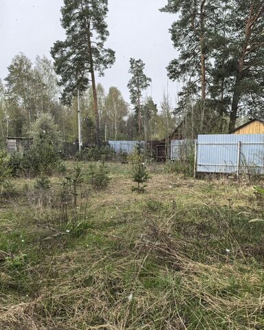 снт Березка муниципальное образование Нагорное, Вольгинский фото