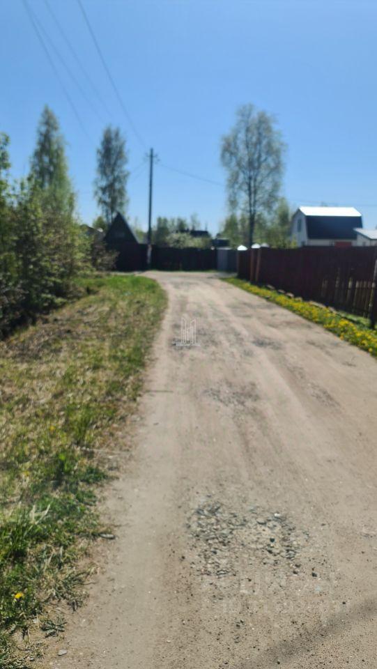 земля г Сосновый Бор фото 12