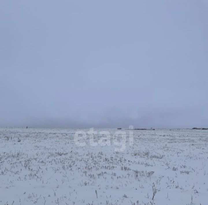 земля г Южноуральск п Летягино фото 3