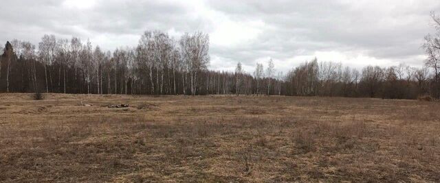 земля д Савинки фото