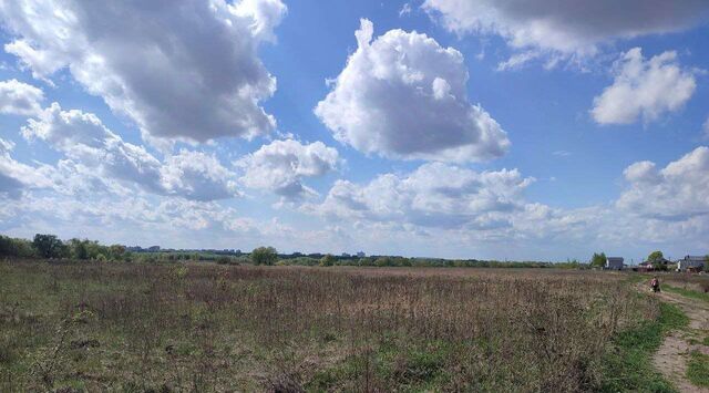городской округ Коломенский с Парфентьево ул Луговая Коломна городской округ фото