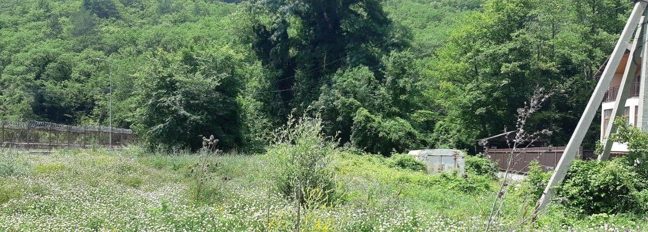земля г Геленджик снт Прасковеевка ул Романтиков 16 фото 6