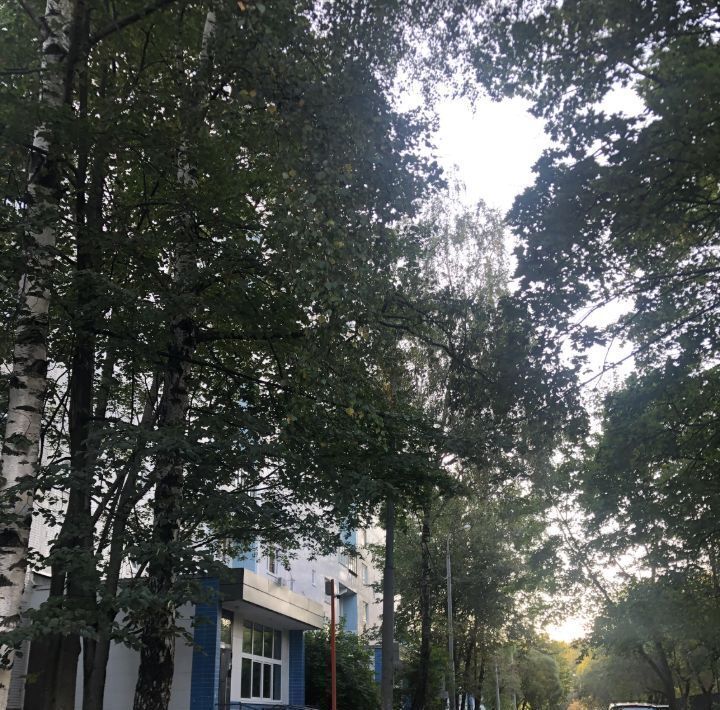 квартира г Москва метро Улица Академика Янгеля ул Академика Янгеля 14к/4 фото 3
