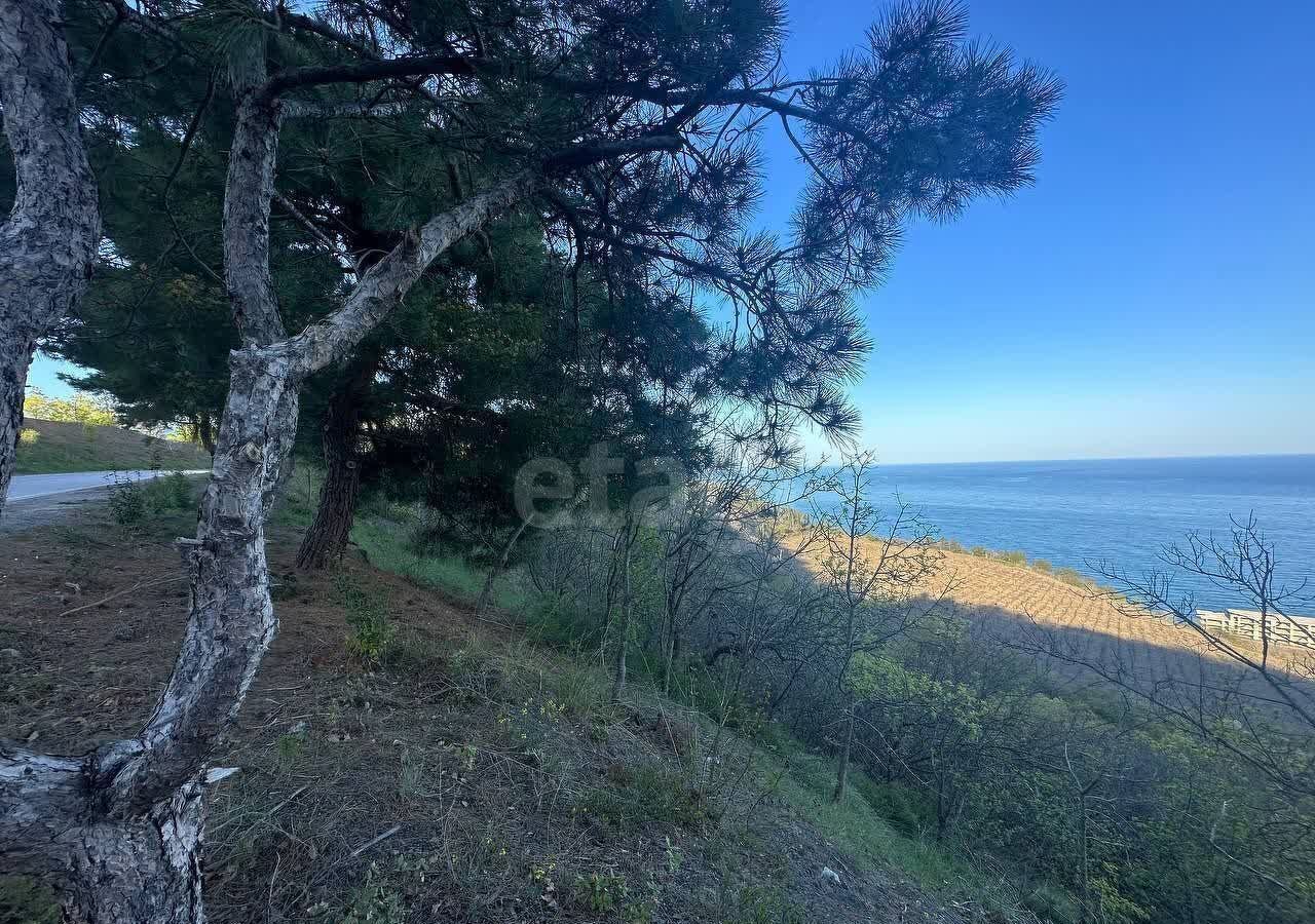 земля г Алушта с Лазурное фото 8