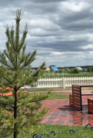 земля с Мальцево ул Дачная Тюменская область, Успенка фото
