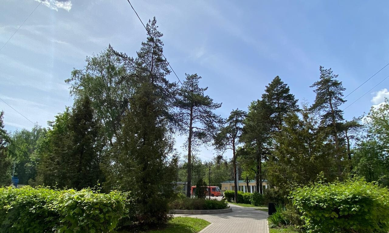квартира г Нижний Новгород Караваиха пр-кт Гагарина 144 фото 14