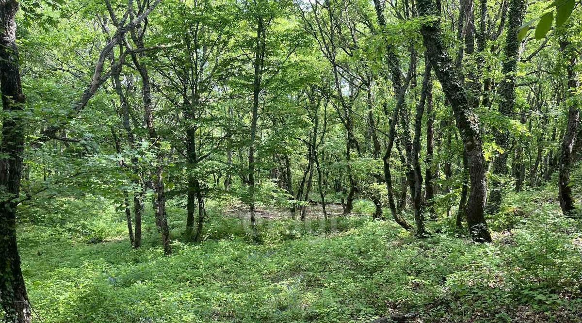 земля г Алушта п Лаванда мкр Заречный фото 8