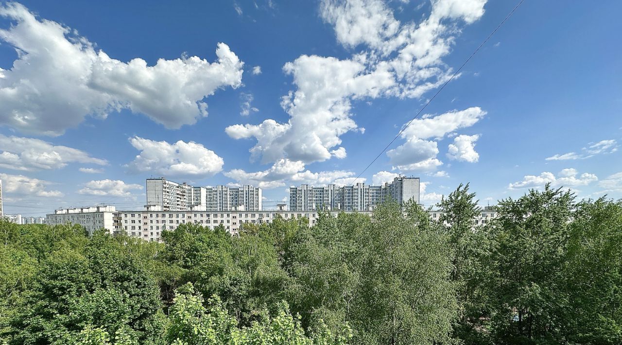квартира г Москва метро Теплый Стан ул Профсоюзная 146к/3 фото 12