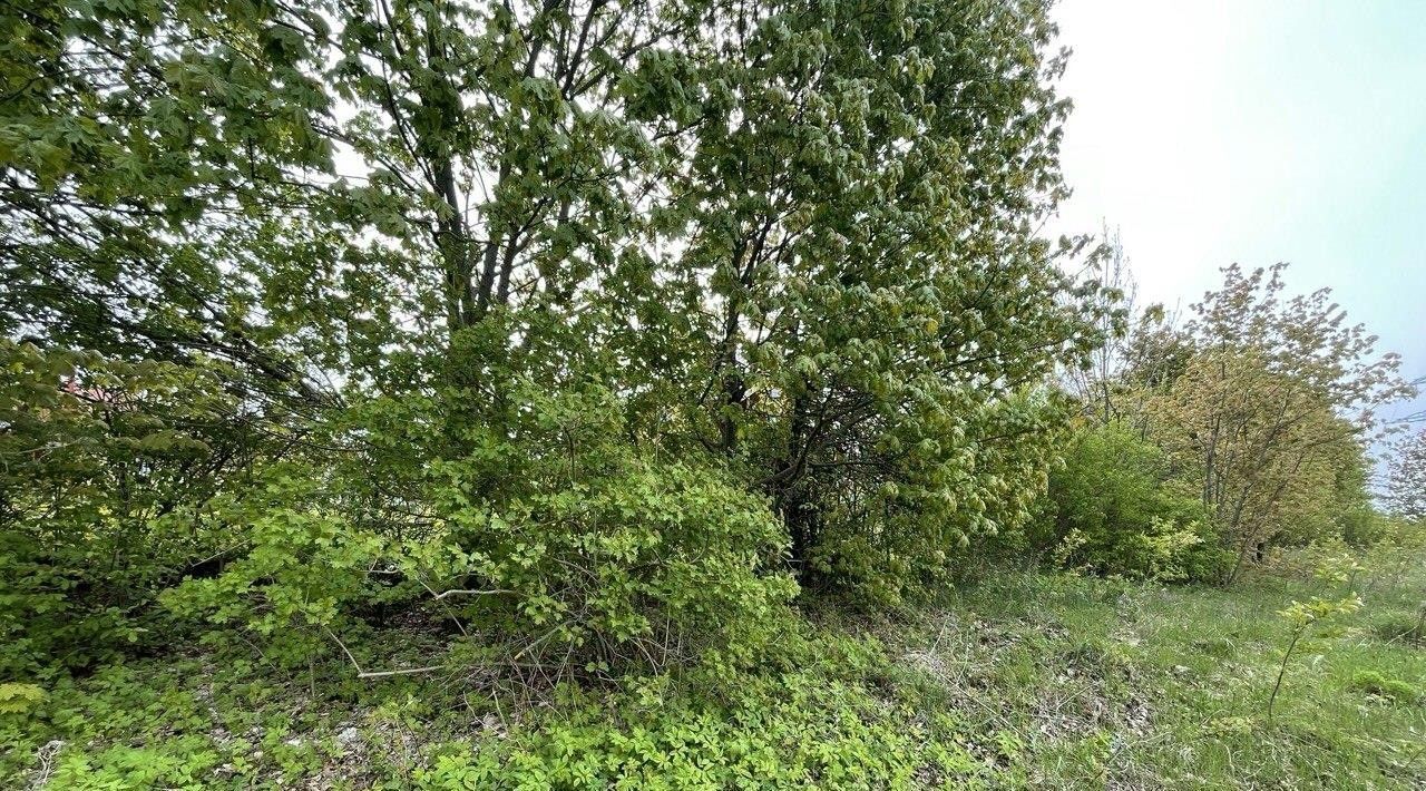 офис г Пущино ул Старопущинская Серпухов городской округ фото 1