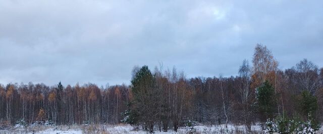 ул Знаменская фото