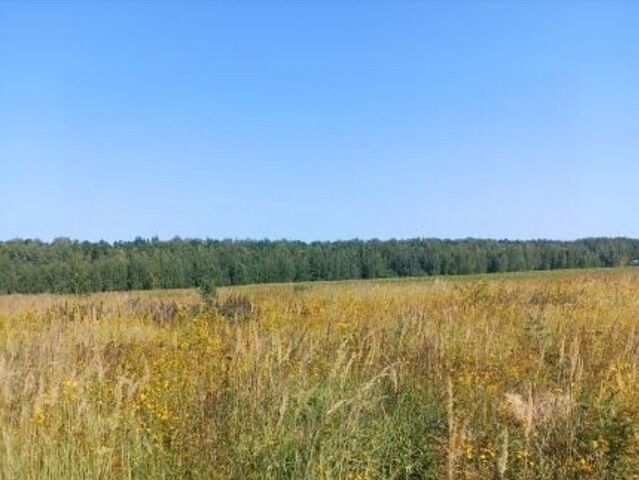 офис городской округ Луховицы д Чуприково снт Чуприково 118 фото