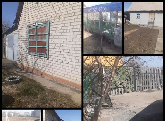 снт Дорожник 538 фото