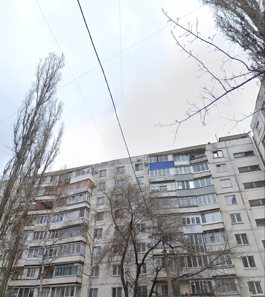 квартира г Воронеж ул Хользунова 88 фото 10