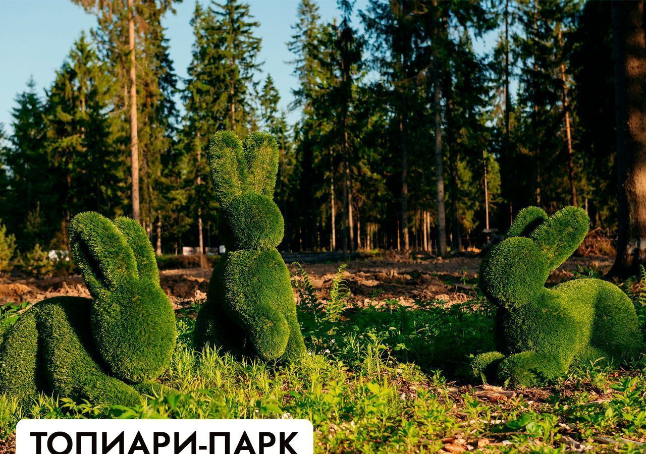 земля г Клин 54 км, эко-посёлок Ели эстейт, Новопетровское, Ленинградское шоссе фото 21