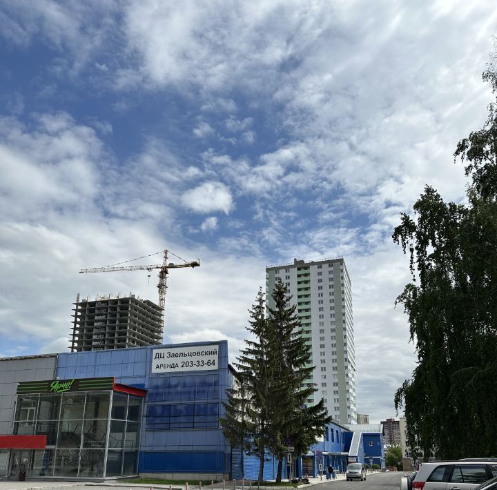квартира г Новосибирск Заельцовская ул Дуси Ковальчук 378б фото 29