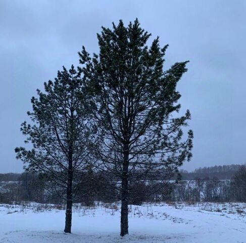 земля с Адуево 98 фото земля с Адуево 98 фото