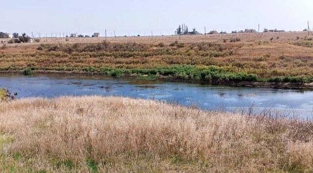 снт Нептун Батальненское с/пос фото снт Нептун Батальненское с/пос фото