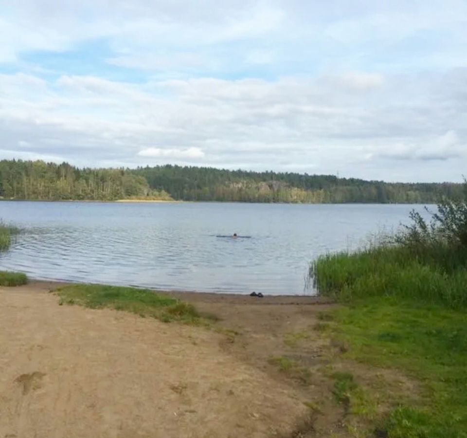 земля г Копейск снт Курочкино-1 Копейский г. о., Лесная ул фото 4