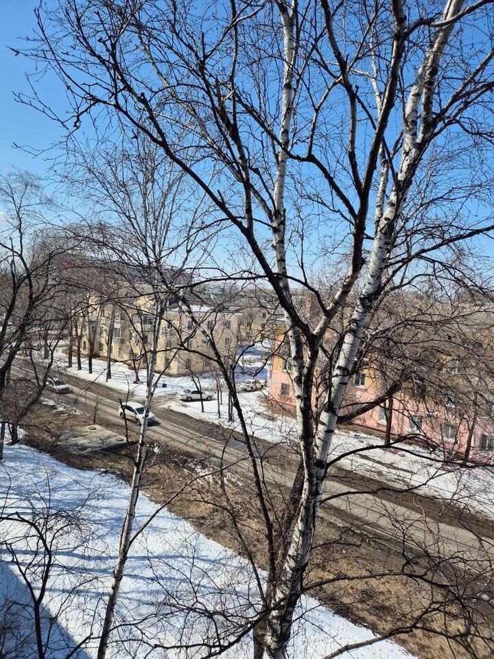квартира г Хабаровск ул Прогрессивная 17 фото 16