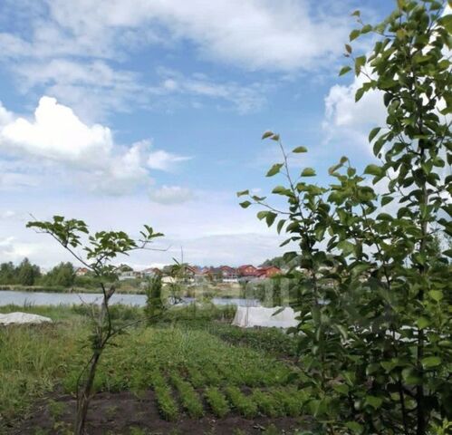 п Озерный снт тер.Озерное 3 фото