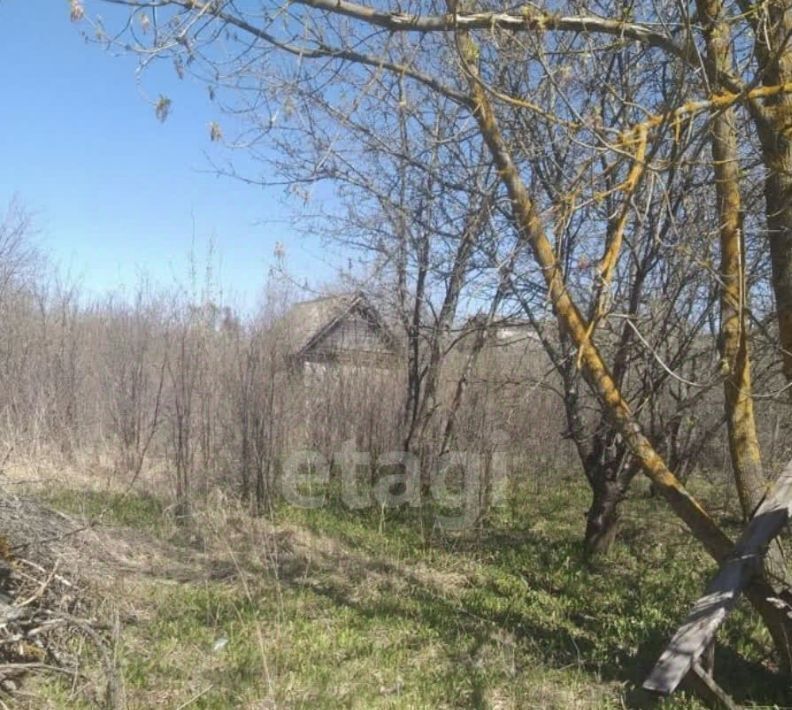 земля г Саранск снт тер.Колос 845 фото 4