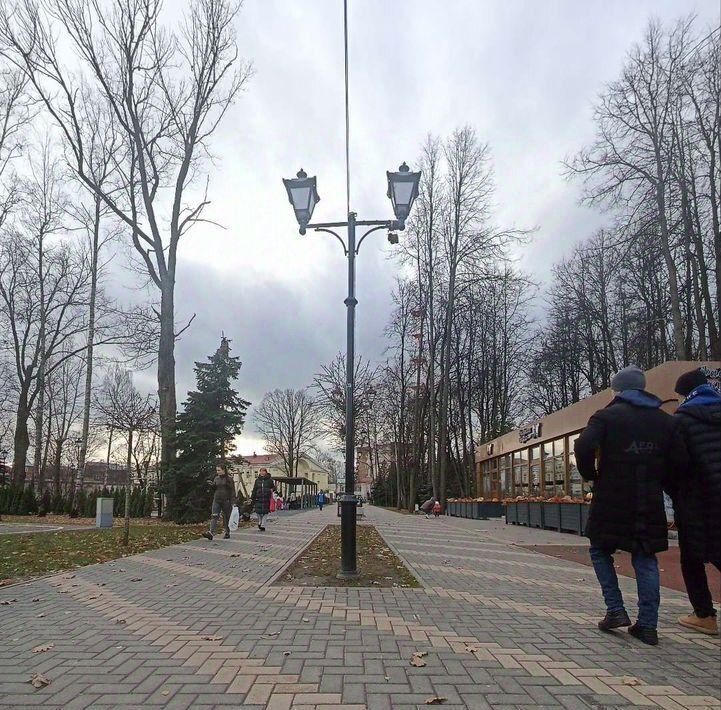 комната городской округ Истра г Дедовск ул Гагарина 16а фото 28