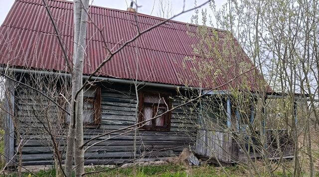 снт Росинка Кисельнинское с/пос, 5-я линия фото