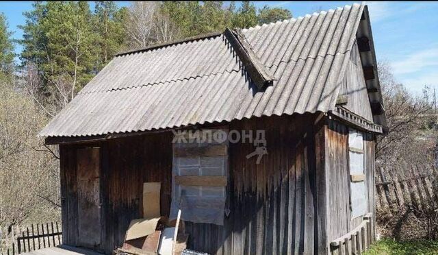п Копылово садоводческое некоммерческое товарищество Горка, Светлый фото