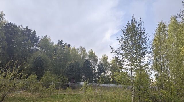 с Кузьмищево Рябинка СНТ фото