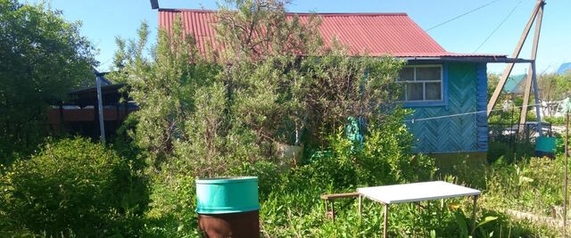 сельсовет, Ягодка Бачурино СНТ, 7 фото