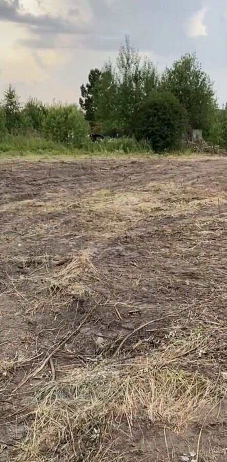 земля г Тобольск садоводческое товарищество Возрождение, Сосновая ул фото 2