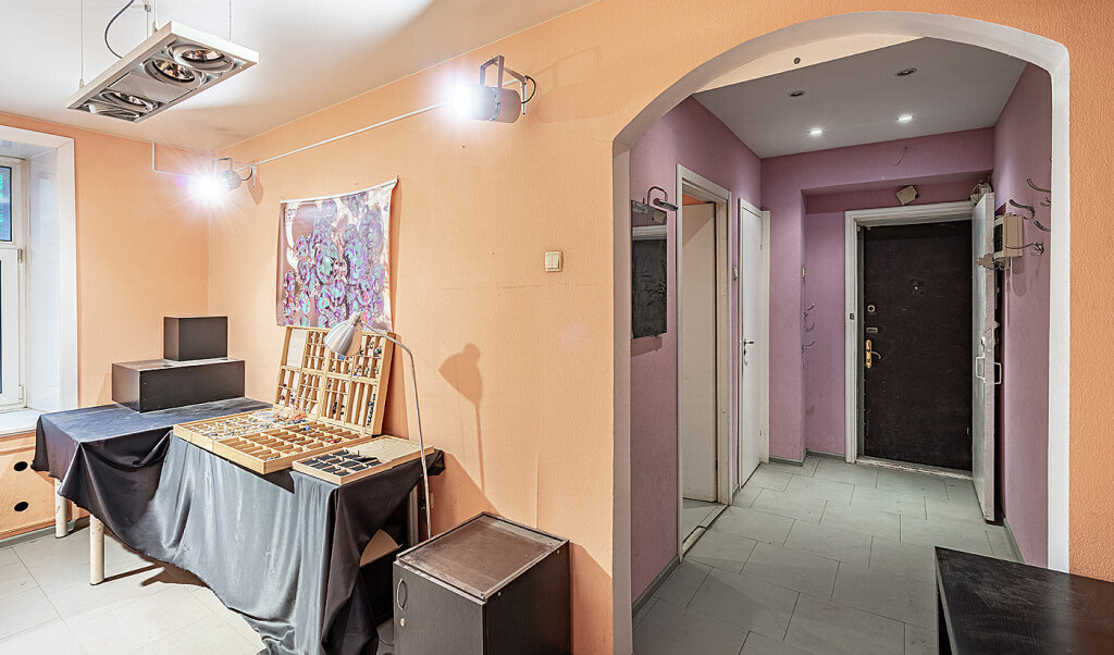 квартира г Москва метро Парк культуры ул Тимура Фрунзе 8/5 фото 9