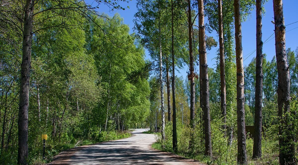 земля г Полевской с Курганово мкр Добрый город ул. Медовая фото 2