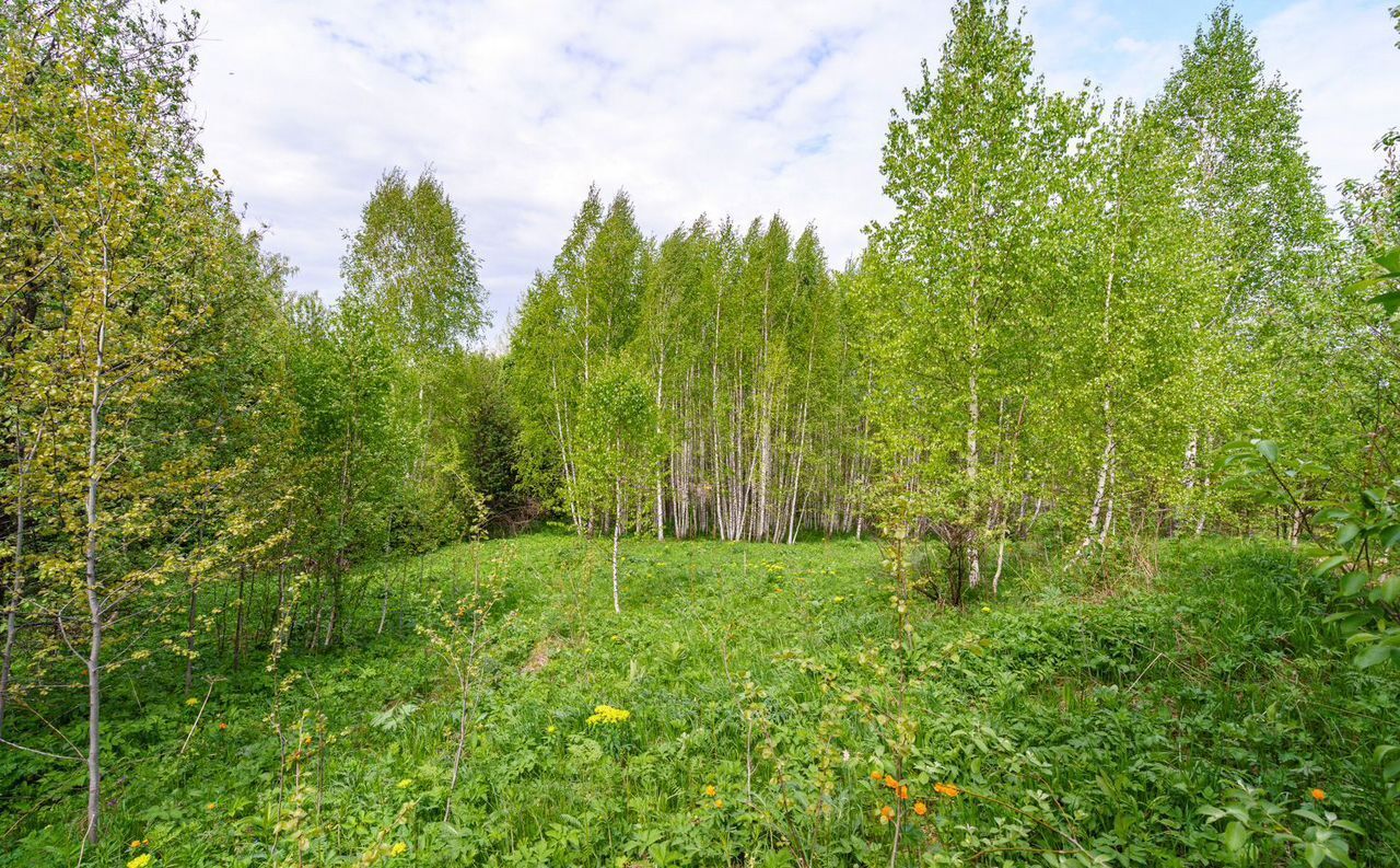 земля г Томск п Родионово р-н Советский фото 1