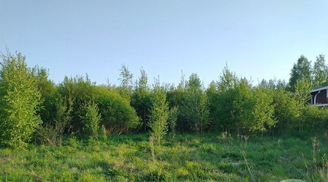 земля Рощинское городское поселение, Золотая сотка кп, проезд 2-й Луговской, 88 фото