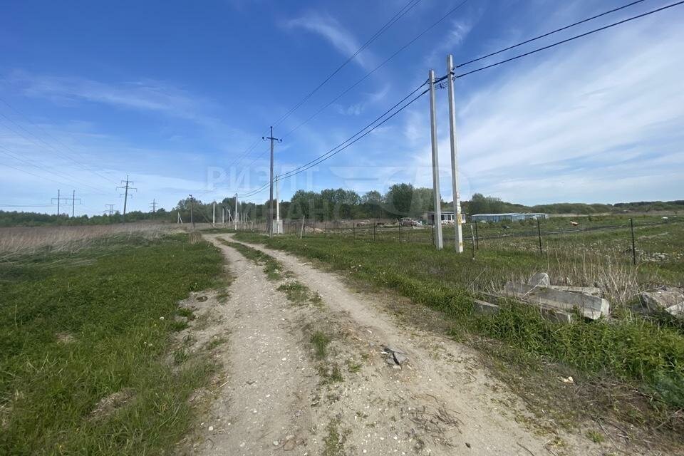 земля г Светлый п Песчаное Светловский городской округ фото 4
