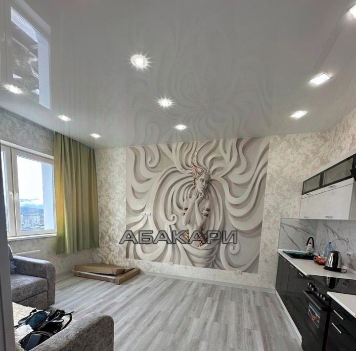 квартира г Красноярск р-н Советский ул Авиаторов 43 фото 3