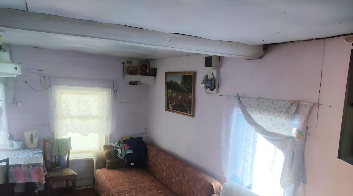 дом г Бор д. Боровица фото 15