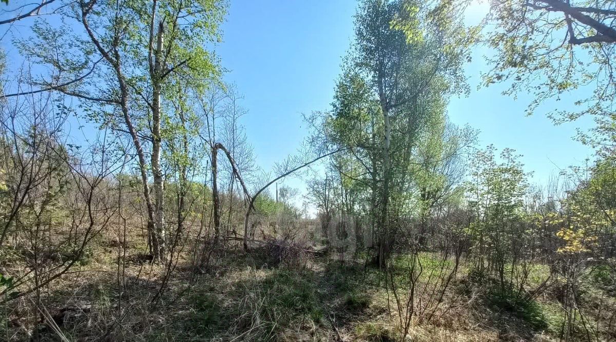 земля г Артем снт Нарцисс 112 фото 4