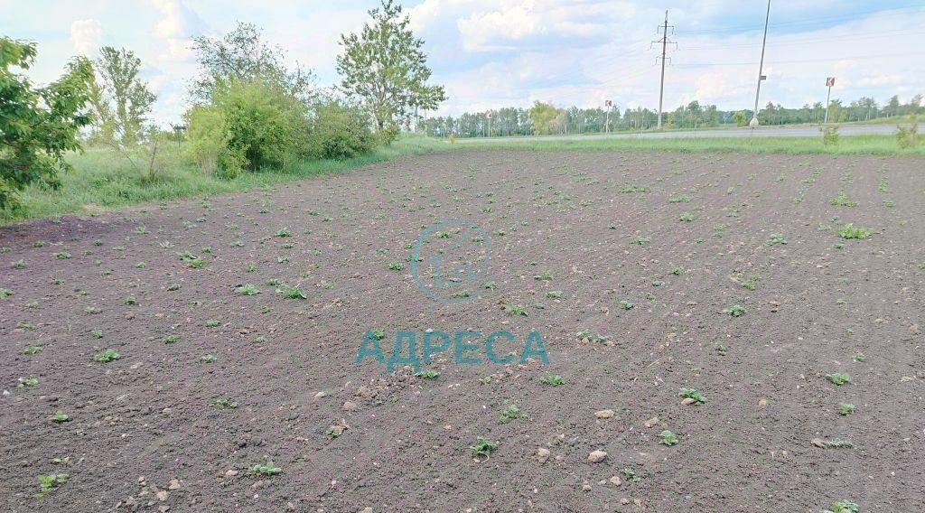 дом р-н Новооскольский г Новый Оскол ул Мира фото 30