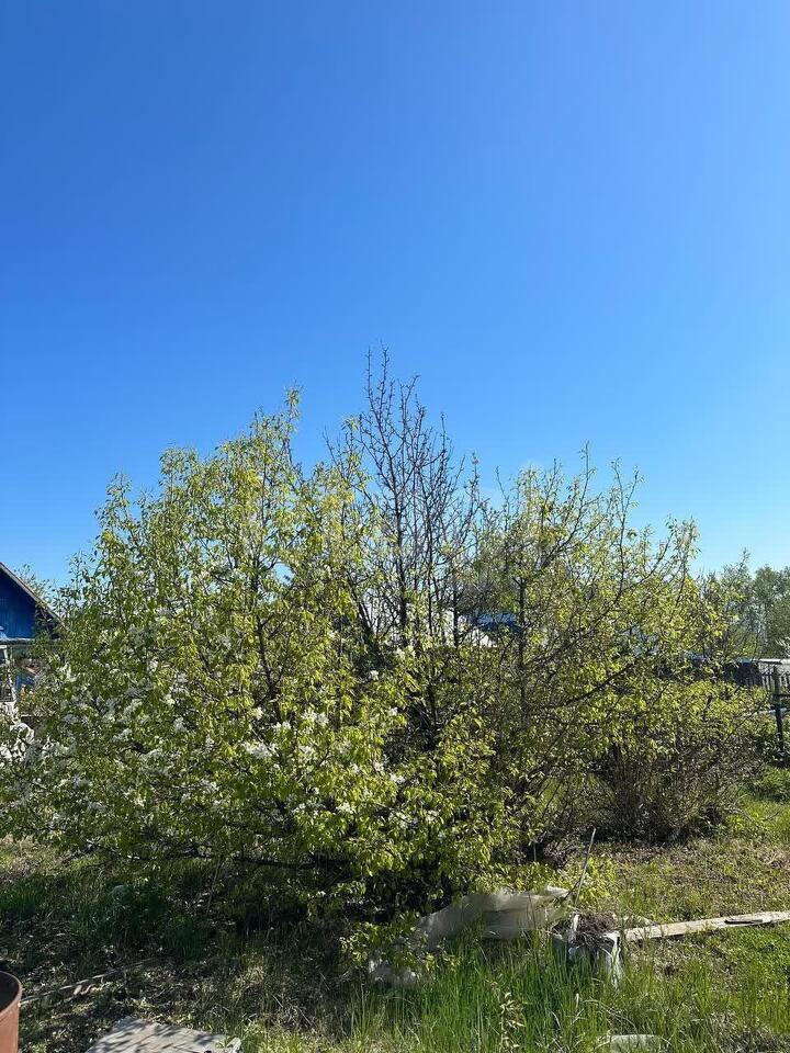 дом г Комсомольск-на-Амуре снт терСтроитель 7-я улица фото 5