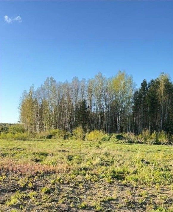 земля г Первоуральск пер Александра Невского Князевское кп фото 18