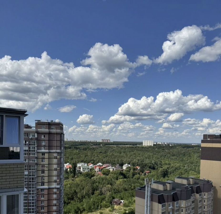 квартира г Воронеж р-н Коминтерновский пер Здоровья 90г/1к 1 фото 15