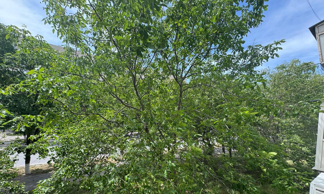 квартира г Азов ул Московская 61 фото 19