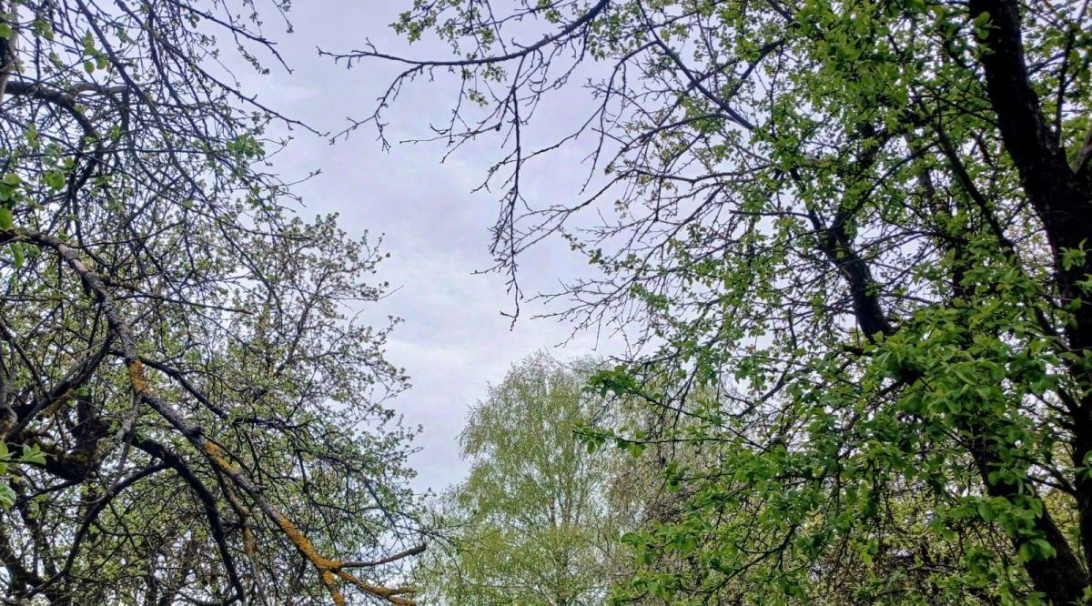 дом г Калуга р-н Московский снт Электрик ул Малиновая фото 5