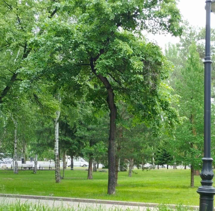 квартира г Омск р-н Центральный ул Ленина 6 фото 7