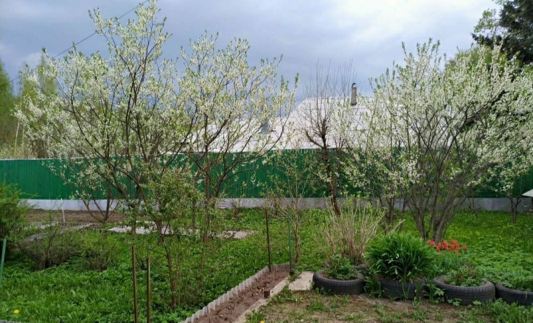 дом г Кострома р-н Центральный ул Костромская 48 фото 4